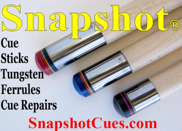 Snapshot